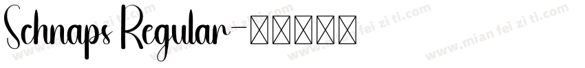 Schnaps Regular字体转换